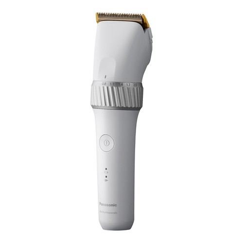 Panasonic gp50 argento - panasonic,