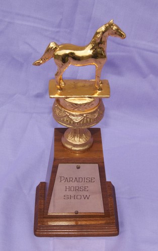 Trofeo spettacolo cavalli