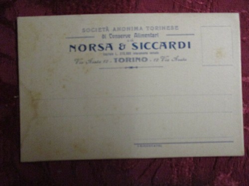 Torino societa anonima - torino,, societa'