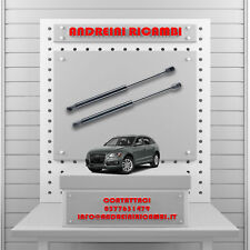 2 MOLLE A GAS BAGAGLIAIO AUDI