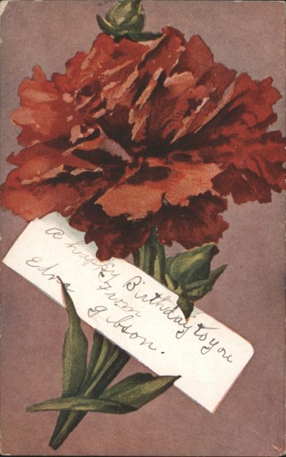 Fiori garofano rosso fiore - fiore, con