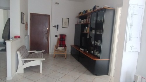 Libreria morassutti noce - , noce/