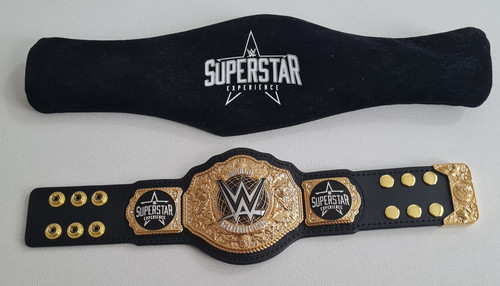 Wwe superstar experience mini - wwe,
