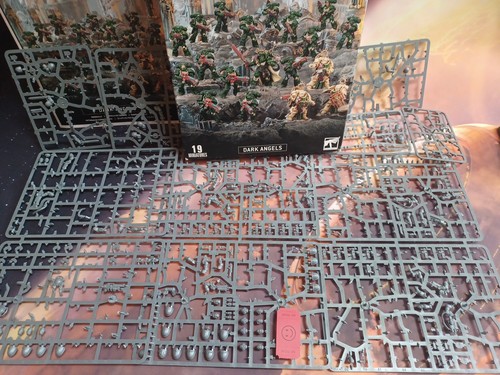 Lotto primaris combat patrol - lotto,