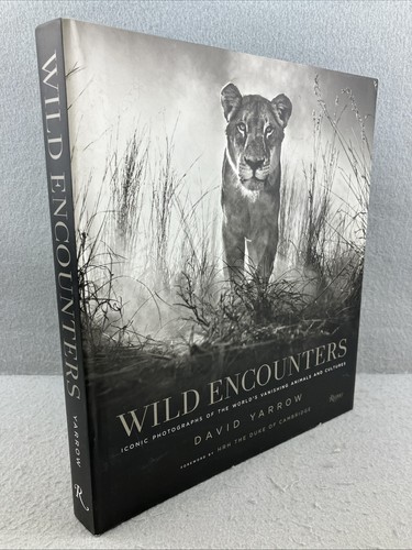 Wild encounters david - wild,
