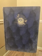 Dionysos Nietzsche Contra