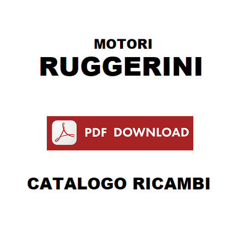 Motore ruggerini 240 248 - motore, rd
