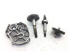 CARTER INGRANAGGI RUOTA POSTERIORE MALAGUTI F12 PHANTOM LC 50 1994 1998 41