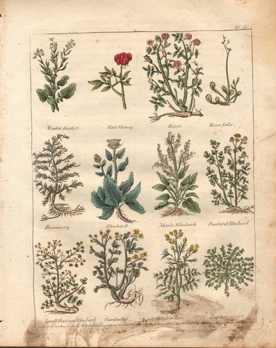 1810 print culpepers - 1810,