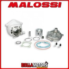 318430 CILINDRO MALOSSI MHR