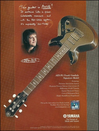 Pubblicità chitarra frank - pubblicità,