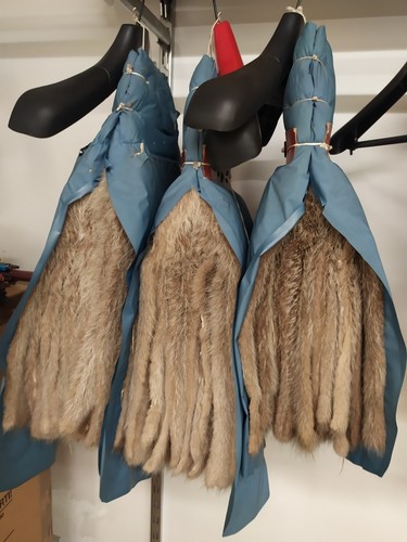 Pelle pellame pelliccia - pelle,