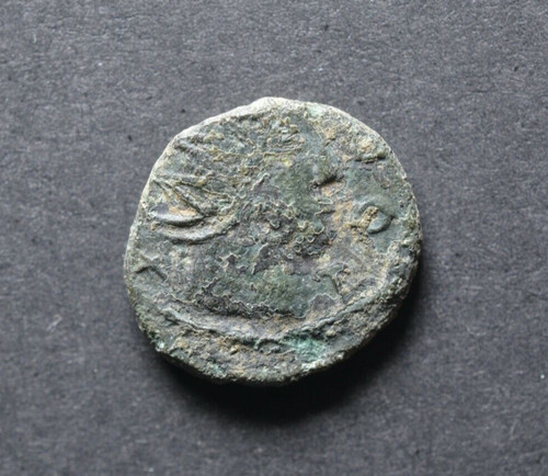 Tetricus impero speciale - tetricus,,