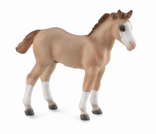 Collecta nuovo con scatola - scatola, *