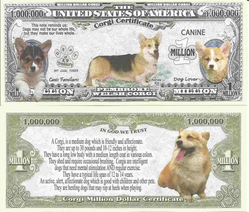 Pembroke welsh corgi dog lover - corgi,