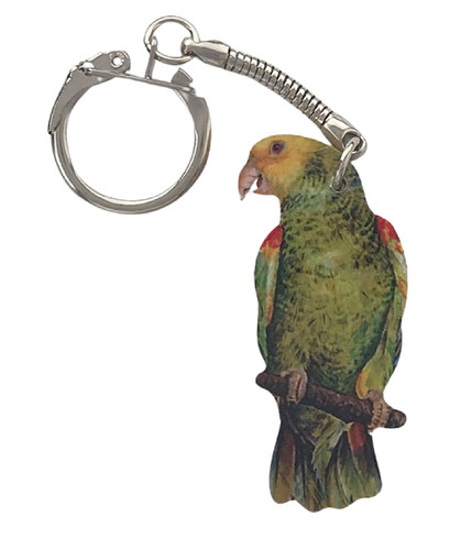 Amazon parrot keyring - amazon,