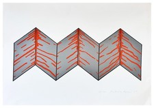 Roberto Barni (1939)  Serigrafia Originale 1970  Firmata e Numeratae Certificato