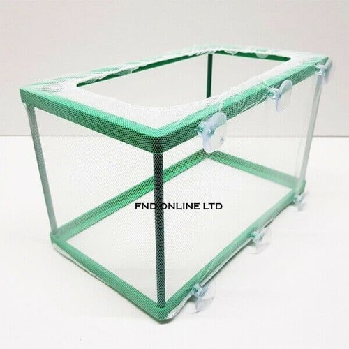 Lrg acquario pesci - acquario, hatchery