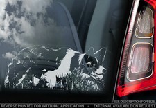 Adesivo auto Border Collie -