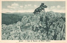 Gorizia - I Lupi di Toscana