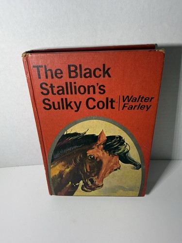 The black stallion - the, stallion’s