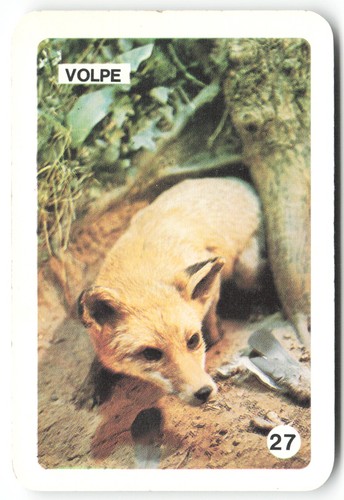 T628 vintage card volpe - [t628],