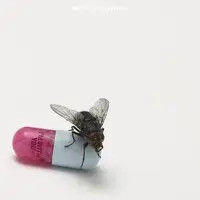 Red hot chili peppers - red, im