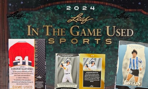 2024 foglia nel gioco sport - nel,