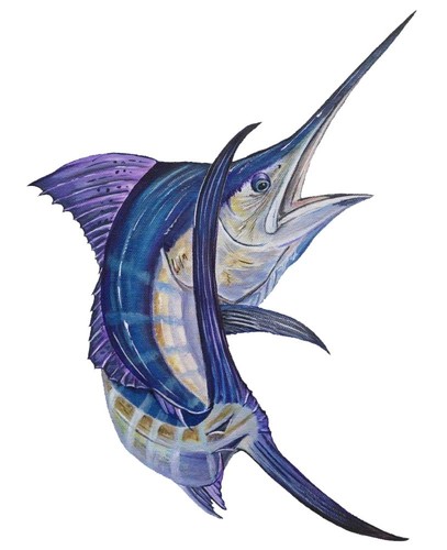 Blue marlin fish - fish, alta