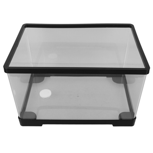 Acquario betta piccolo vasche - betta,