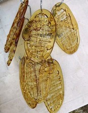 Rara lampada a Muro Mid-Century anni '70 "Mazzega"  7 Elementi a Form ragnatele 