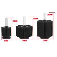 Spugna Schiuma Filtro Interno