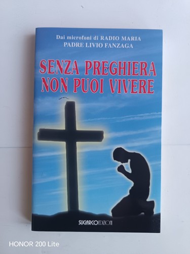 Padre livio fanzaga senza - fanzaga,