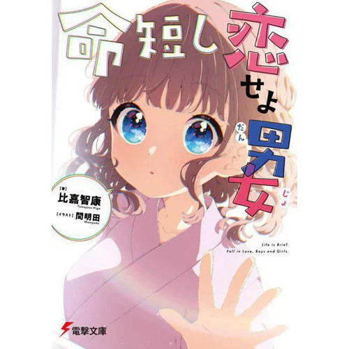 Love story manga - manga, bunko