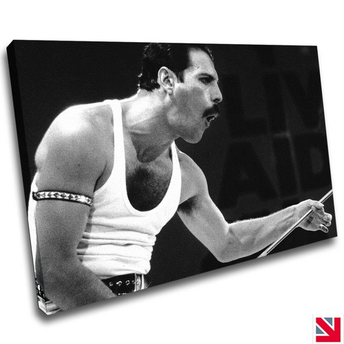 Quadro stampa freddie mercury - quadro,