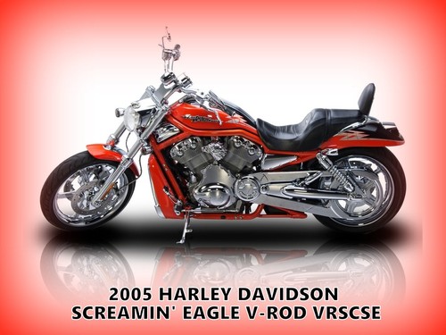 Harley davidson screamin - harley,