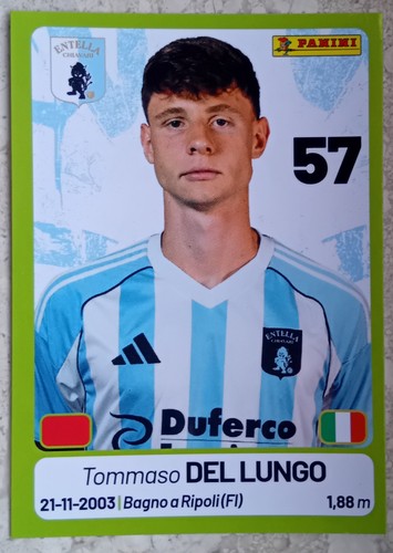Figurina calciatori panini - figurina,