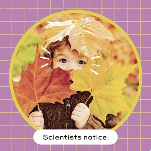 Stem baby science - stem, baby:
