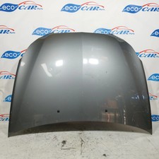 Cofano anteriore grigio maserati Lancia Delta 2009 Rif. Art. ecoAC9585