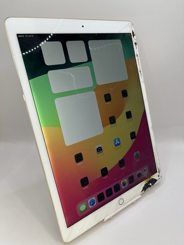 Apple ipad pro generazione - 2a,