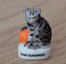 Fava - Gatto Europeo 