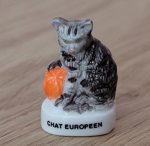 Fava gatto europeo - -,