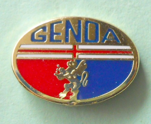 Distintivo spilla pin badge - distintivo,