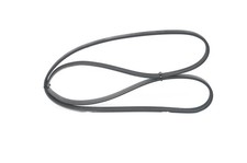 Cinghia rigata per citroen - cinghia, v