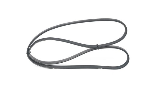 Cinghia rigata per citroen - cinghia,