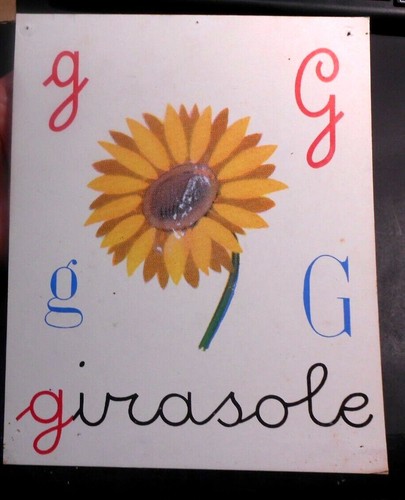 Alfabetiere anni g - -,