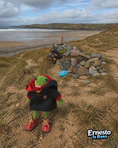 Ooak harry froggo bambola - harry,