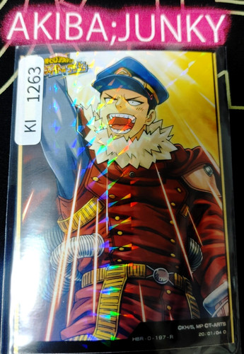 Hero academia heroes battle - hero,