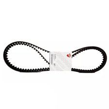 Set Cinture Temporizzazione