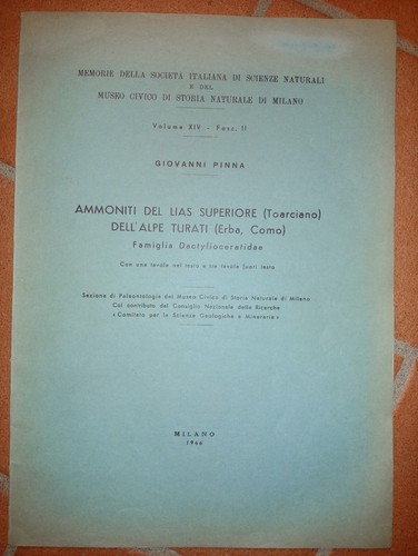 Ammoniti del lias sup - ammoniti,